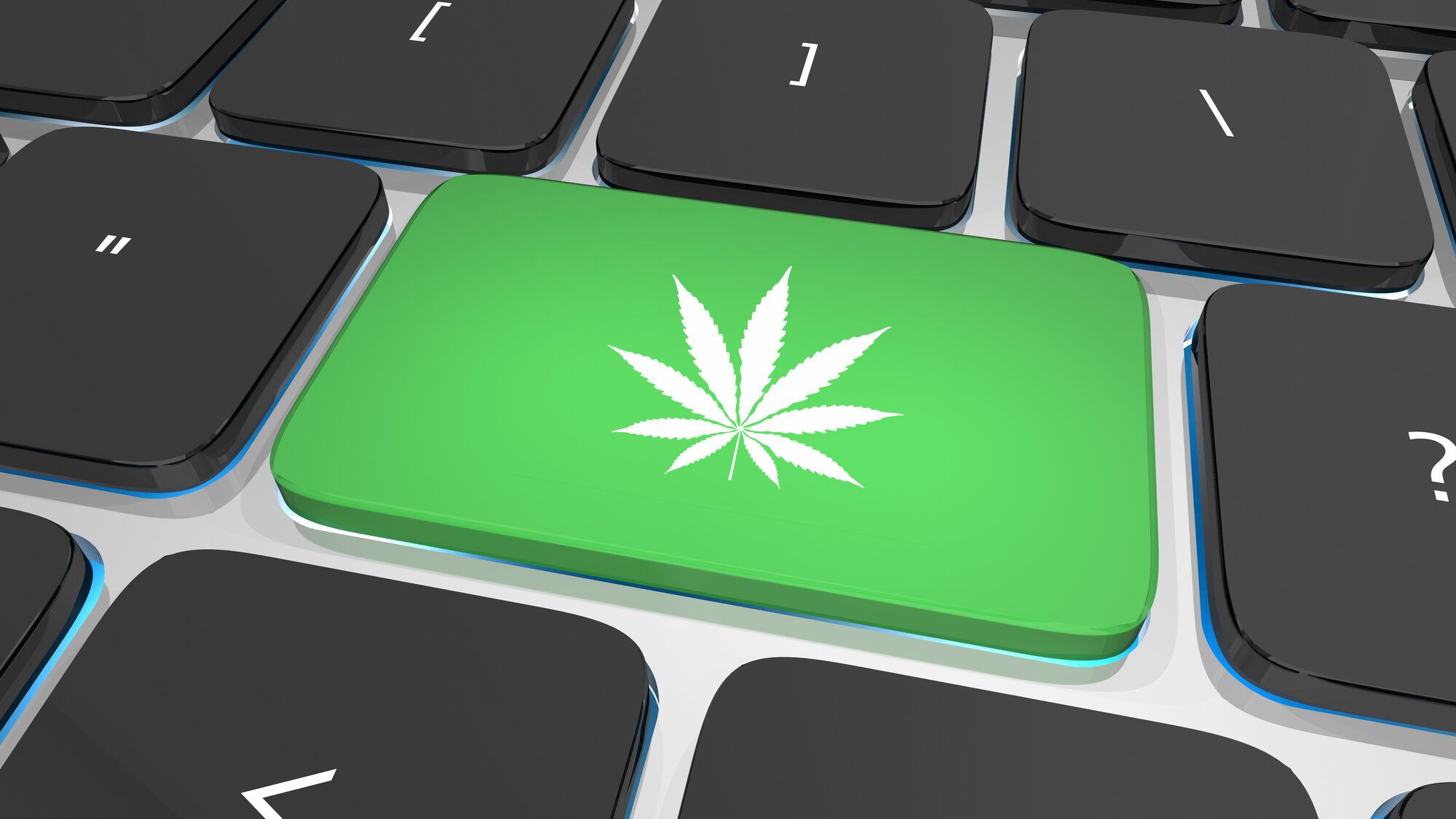 Convenient Places to Buy Cannabis in Miami